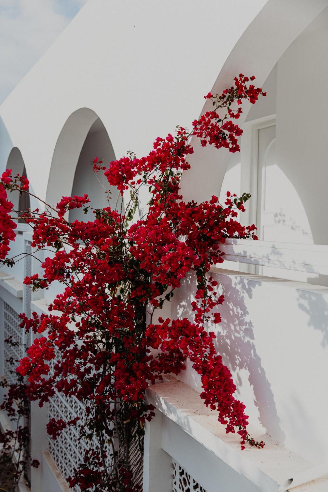 Hotel Bougainvillier Djerba Taguermess Luaran gambar